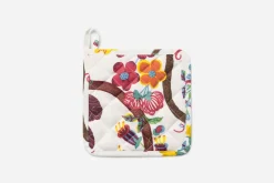 Grytlapp Baranquilla