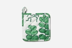 Grytlapp Celotocaulis