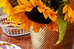 Mässingskruka Hortus