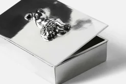 Skrin med Lock Lejon