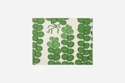 Tablett Celotocaulis