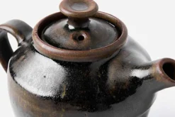 Tekanna Temmoku Svart