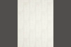 Tygprov Celotocaulis